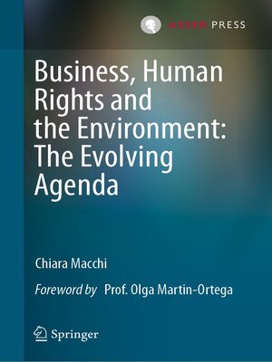 cover image of Business, Human Rights and the Environment